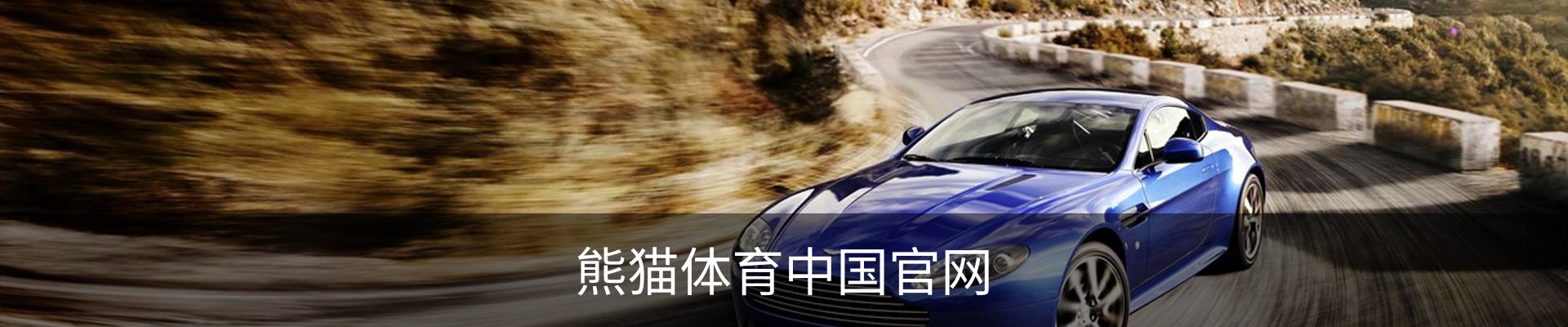 熊猫体育中国官网