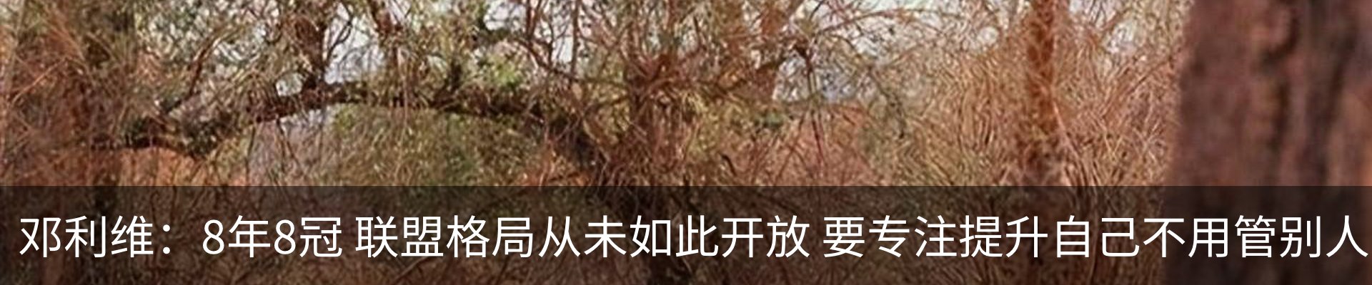 新闻中心